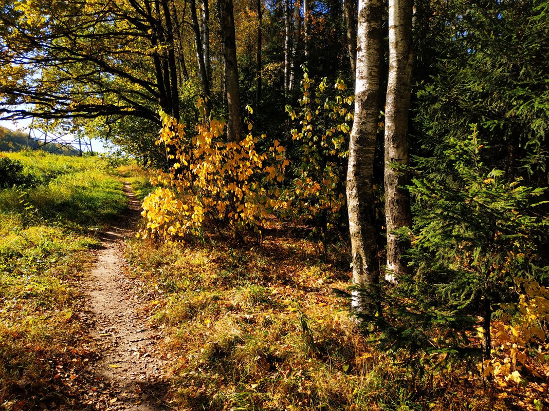 Осеннее равноденствие. На сколько дней еще осталось тепла? - Андрей Лукьянов