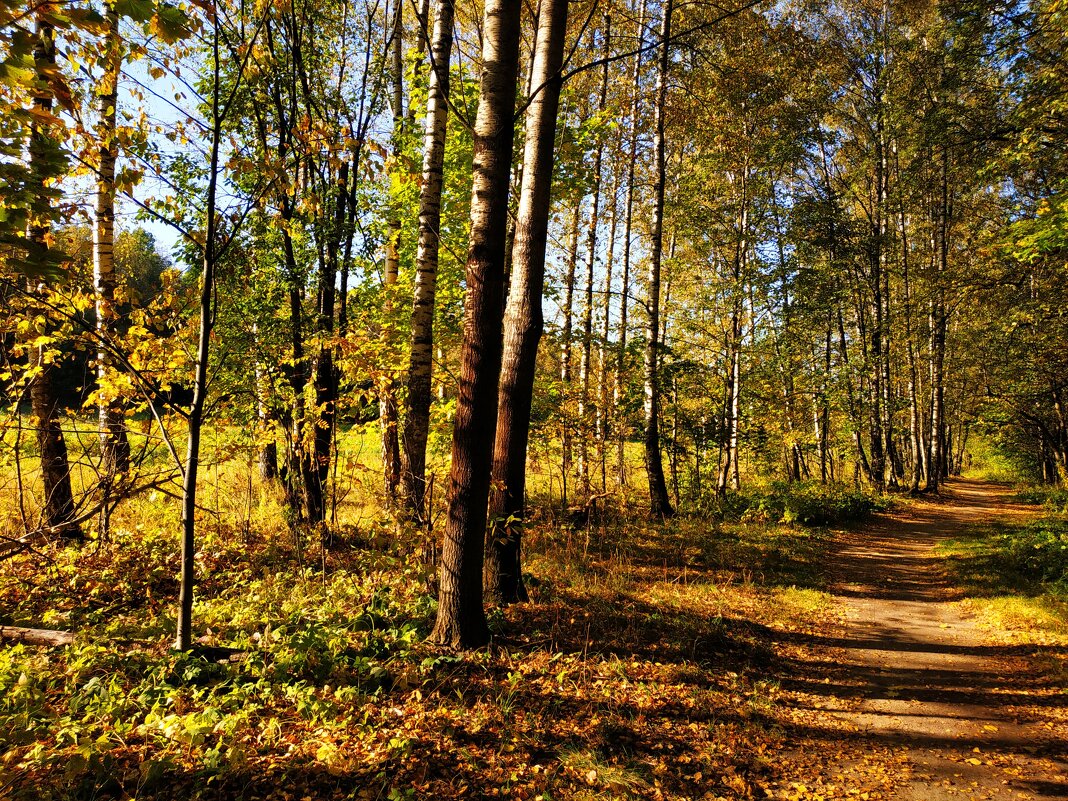 Осеннее равноденствие. На сколько дней еще осталось тепла? - Андрей Лукьянов