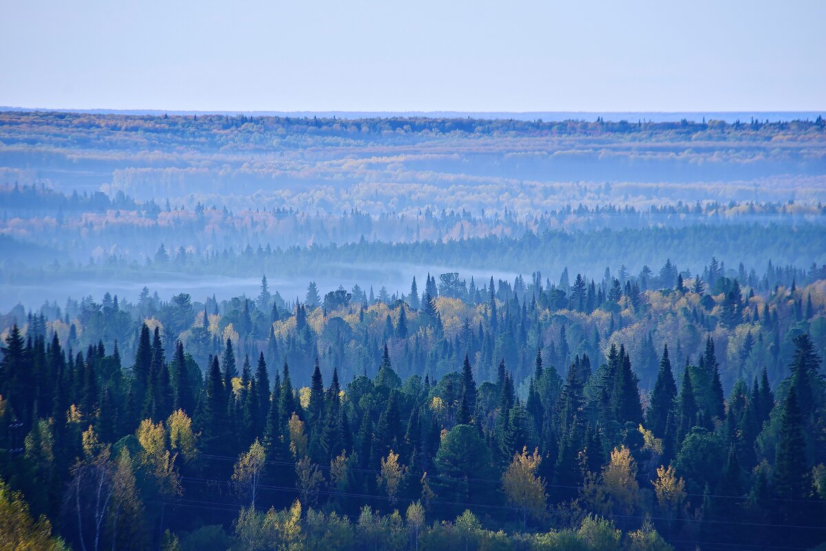 - - Владимир Мигонькин