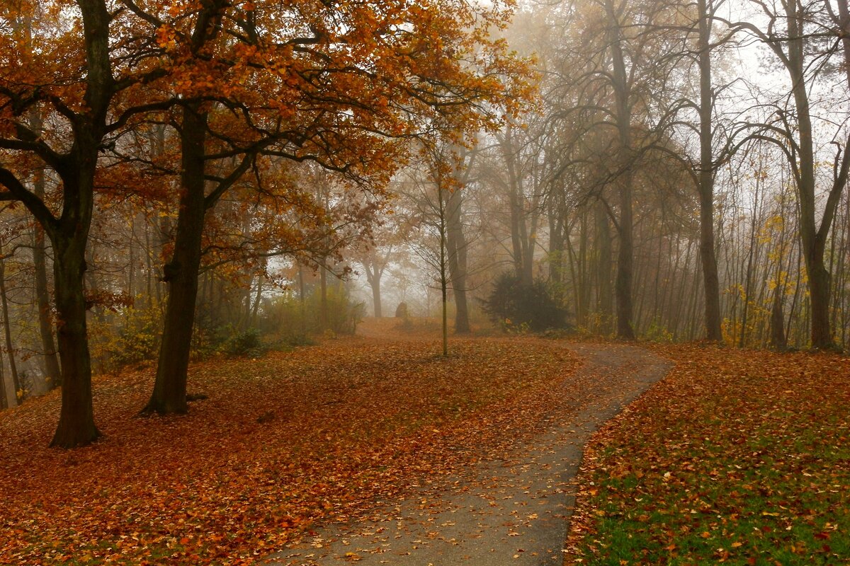Осенние дорожки, остывает синева.Трёт ладошкой о ладошку тополиная листва. - Юрий. Шмаков Осенние дорожки, остывает синева.Трёт ладошкой о ладошку тополиная листва. - Юрий. Шмаков