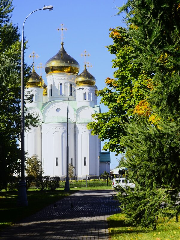 Прекрасный вид. - Василий Палий