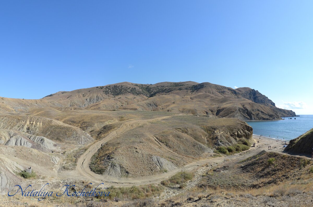 Природа Крыма - Amazing Cosmea