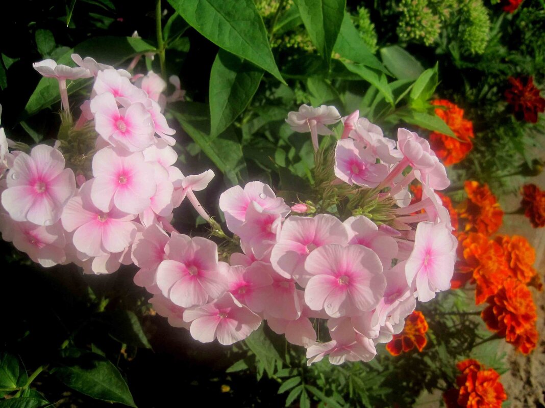 Это было летом - Елена Семигина Это было летом - Елена Семигина