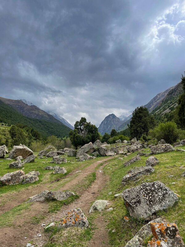 Ала -Арча - Ирина С Ала -Арча - Ирина С