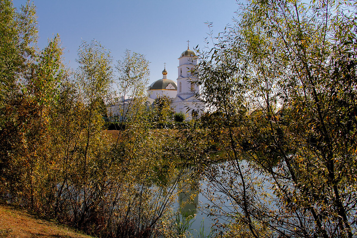 Сквозь осеннюю листву - MILAV V