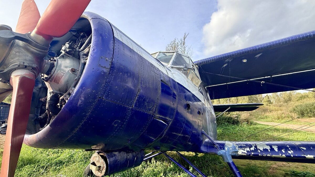 « … А девушки — потом!» ;) - Арина Невская « … А девушки — потом!» ;) - Арина Невская