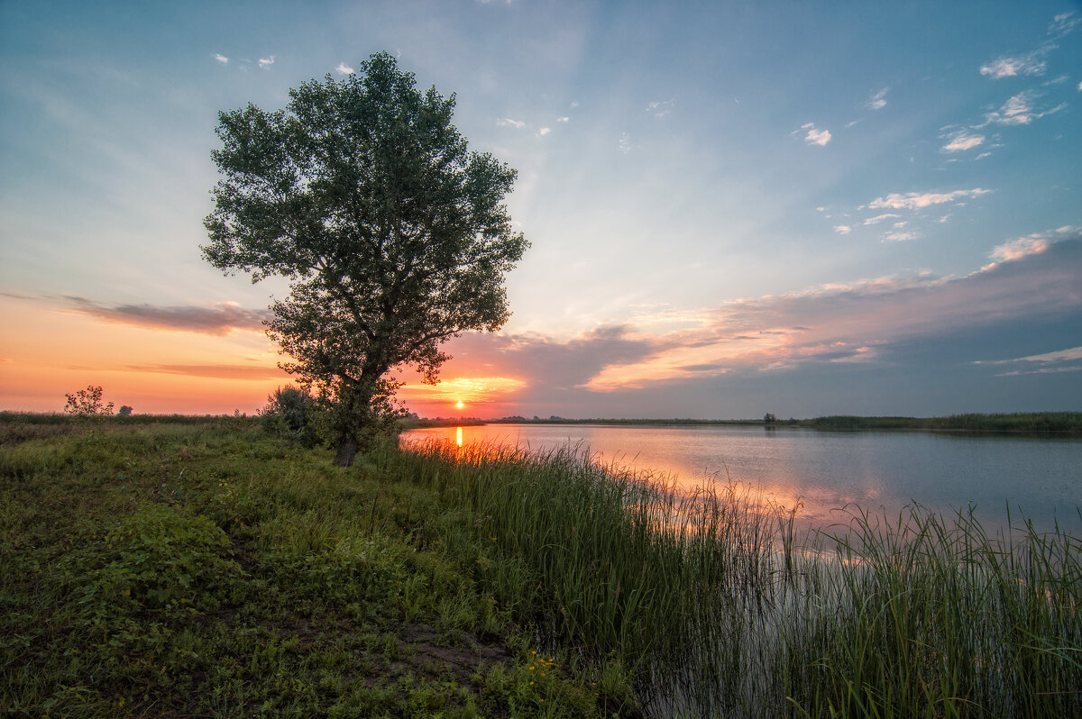 Природный парк Волго-Ахтубинская пойма. - Дина Евсеева
