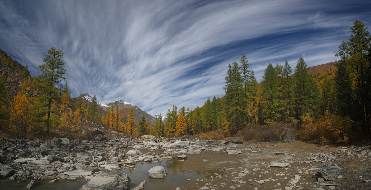 * - Александр Иванов