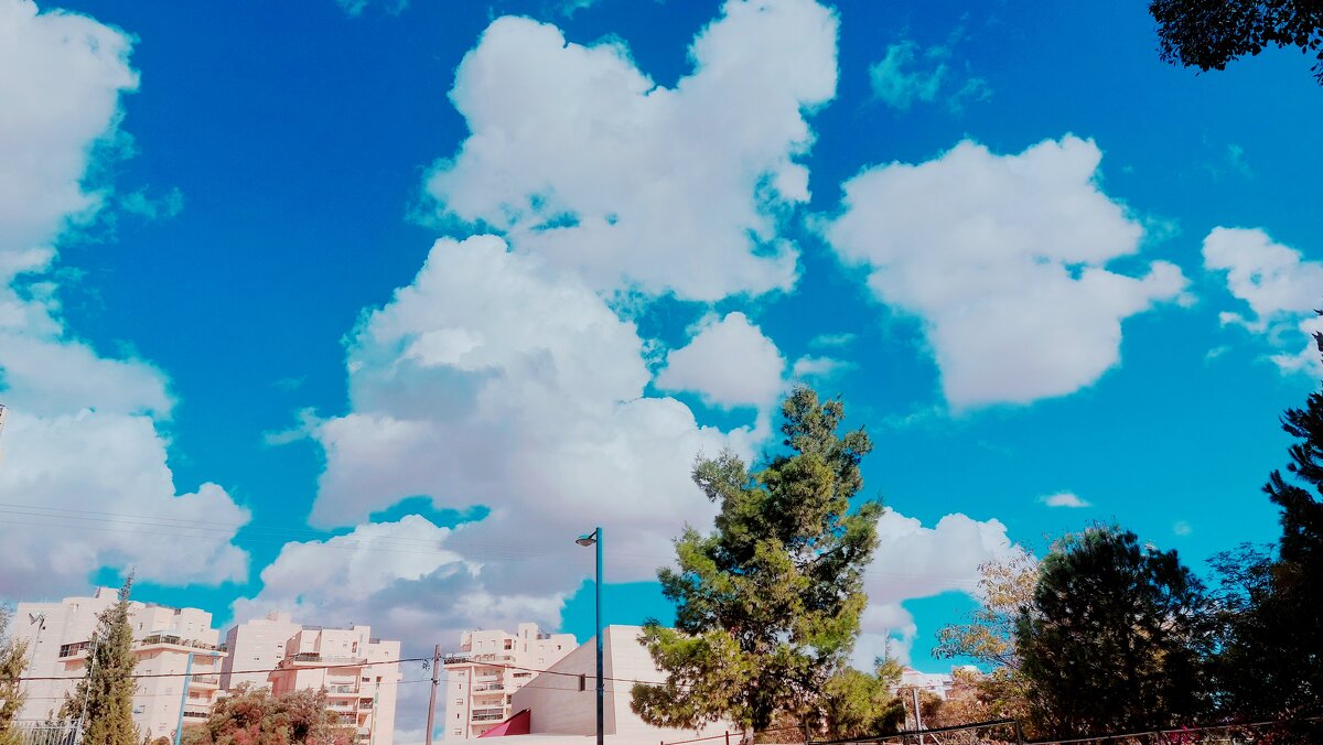 13  ОПЕН (396) - OPEN WAYS ALL