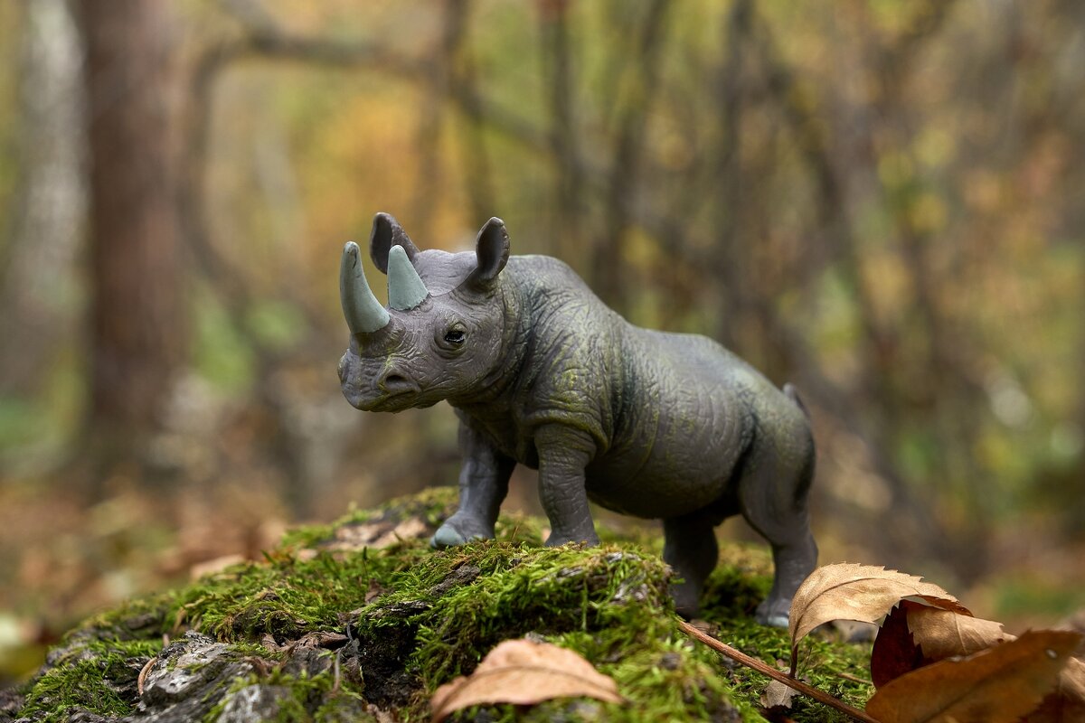 *** - Владимир 