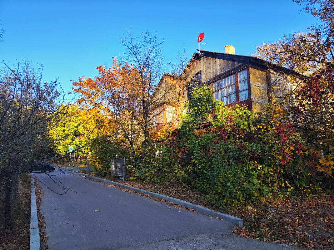 Осень - Алексей Архипов