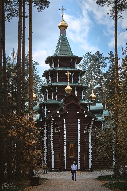 Ганина яма - Александр Морозов