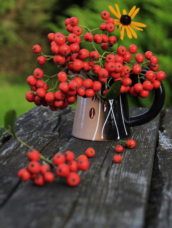 Сентябрьское настроение .. - Татьян@ Ивановна