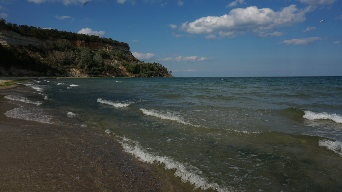 Камчия ! - Вен Гъновски