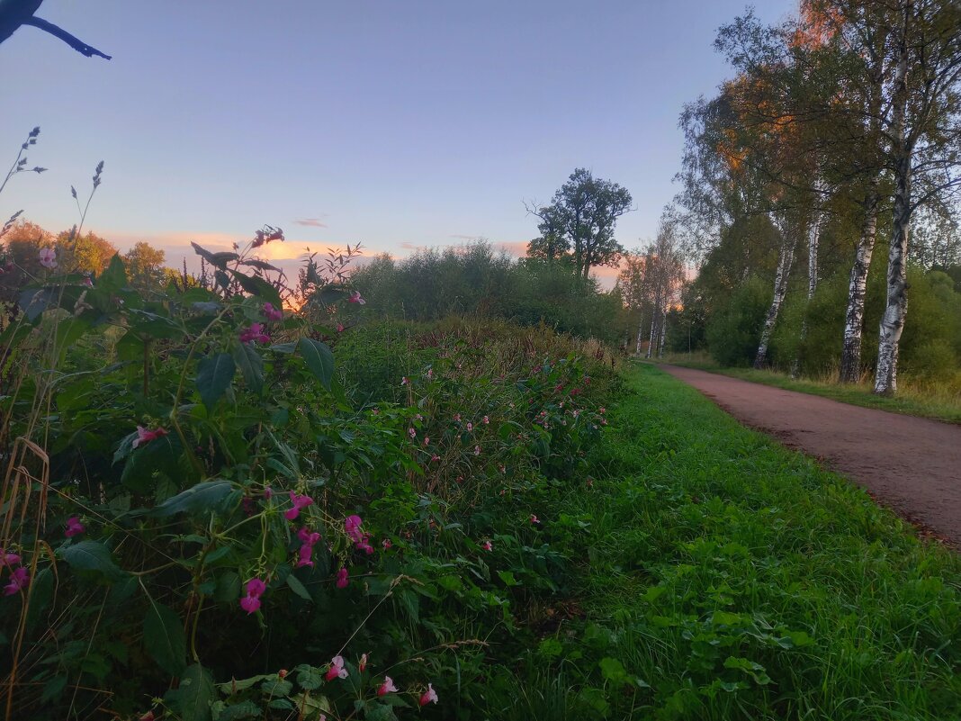 Рассвет - Сапсан 