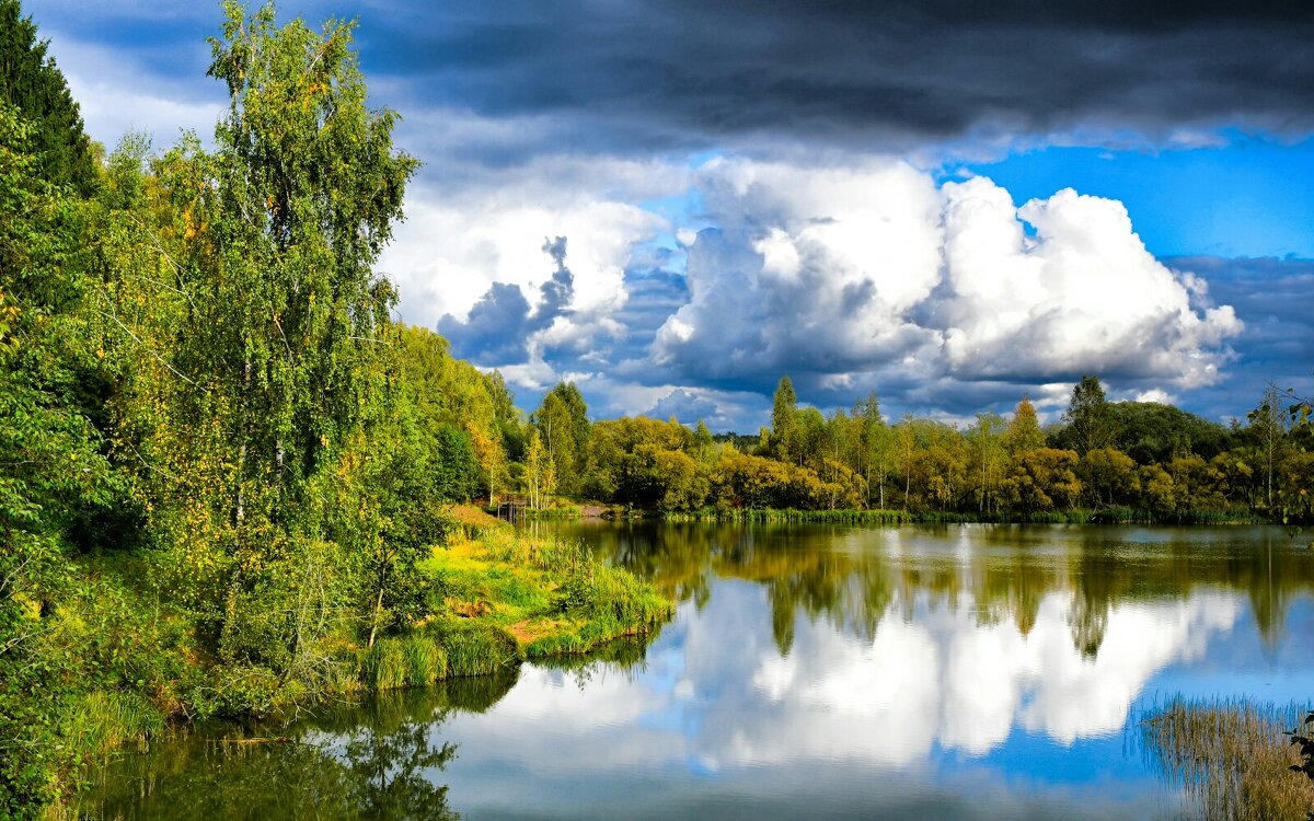 Про осень в сентябре. - Милешкин Владимир Алексеевич 