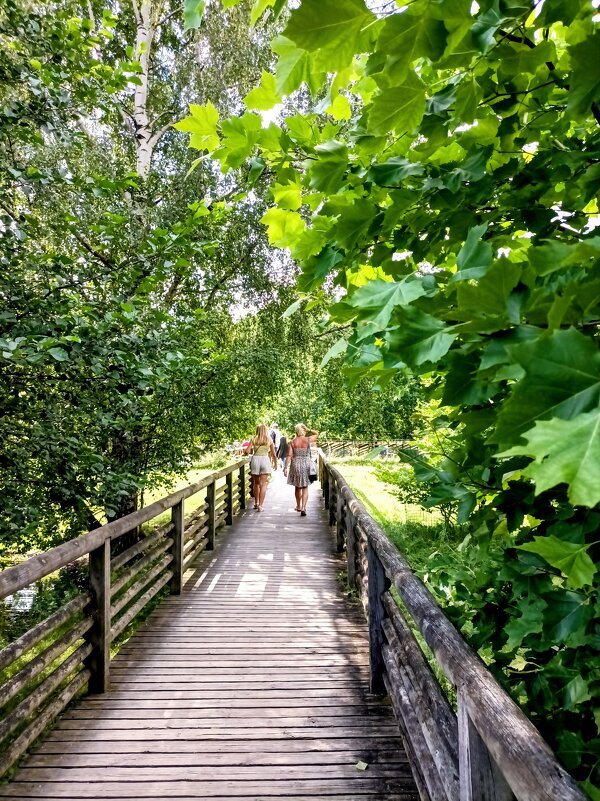 Прогулка по зоопарку - Veera V