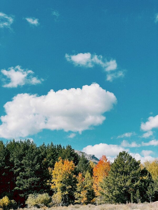 Облака - Георгиевич 