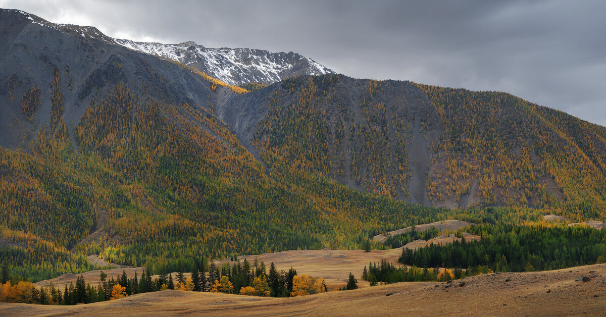 * - Александр Иванов