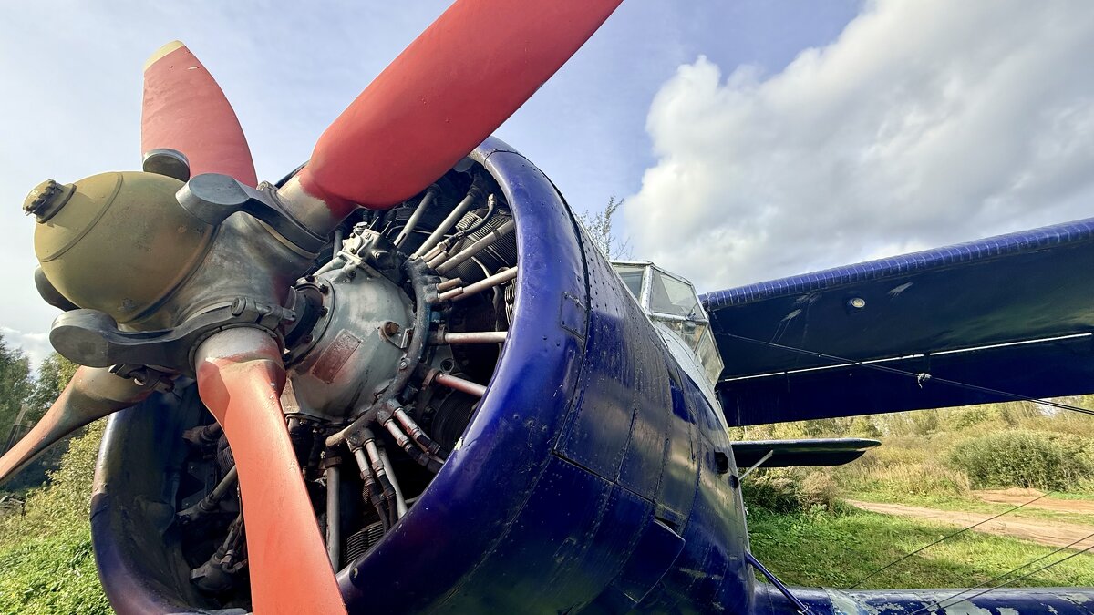 « … А девушки — потом!» ;) - Арина Невская « … А девушки — потом!» ;) - Арина Невская