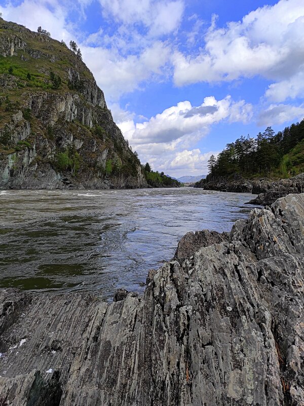 Катунь весенняя - Татьяна Лютаева