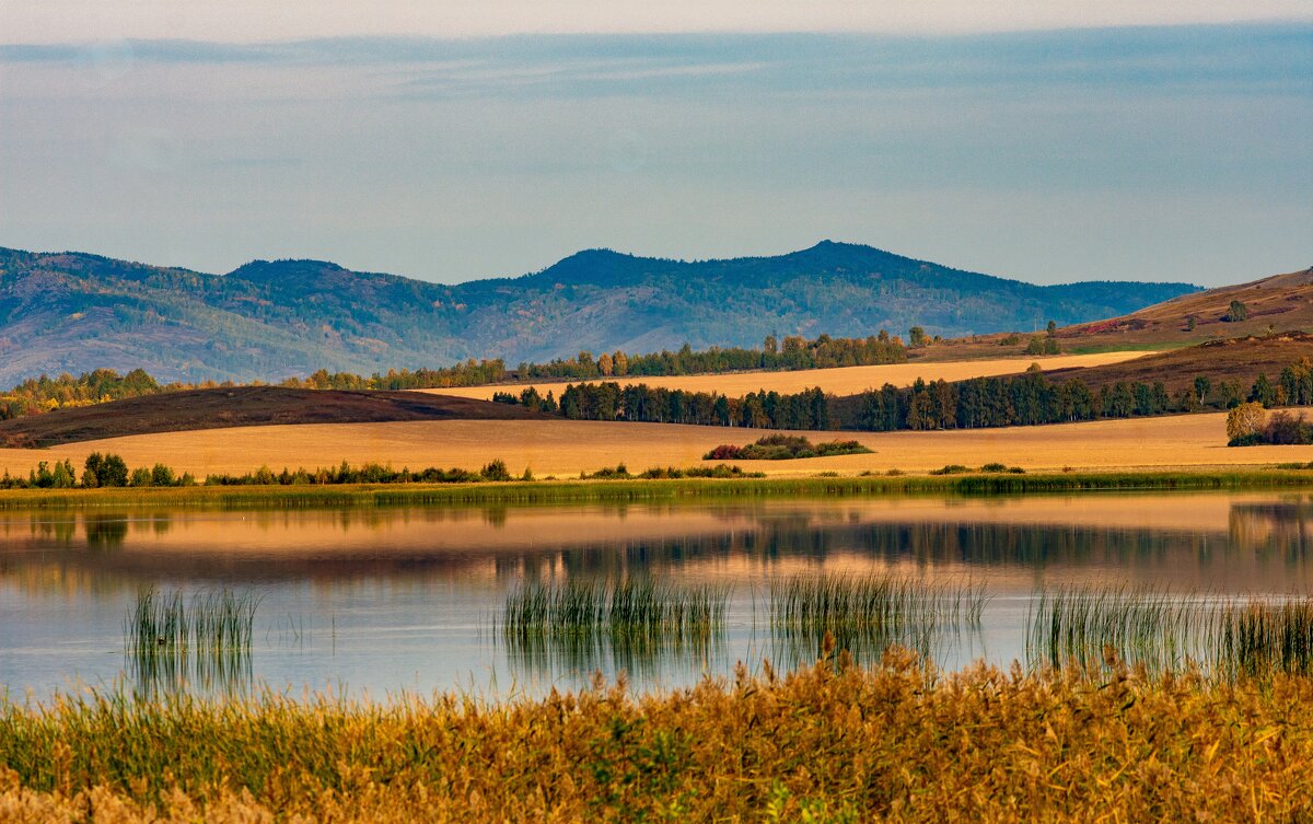 Осень - Петр 