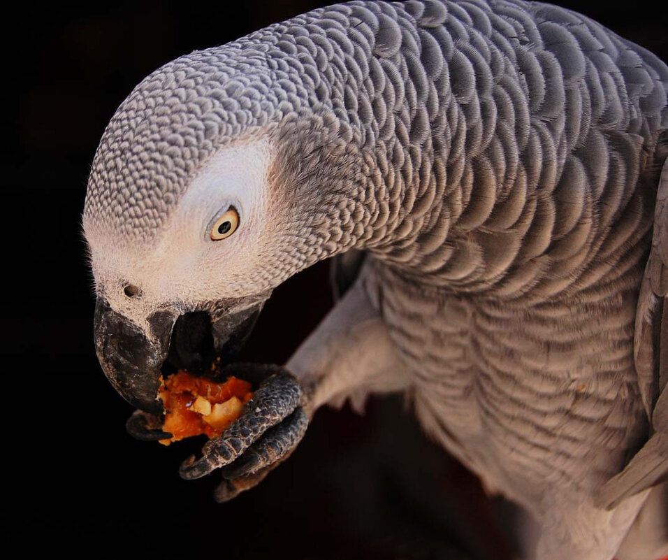 Перекус - Ирина С