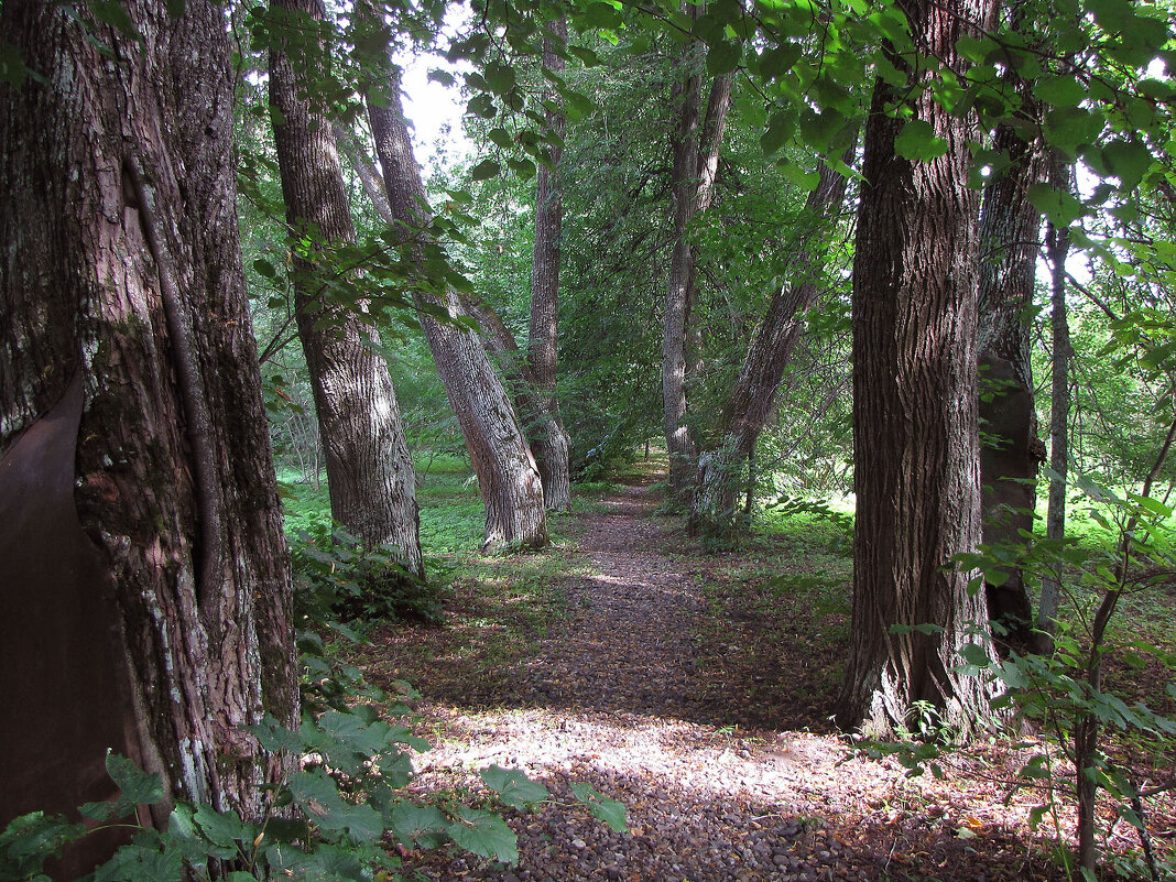 В парке - Александр Ильчевский В парке - Александр Ильчевский