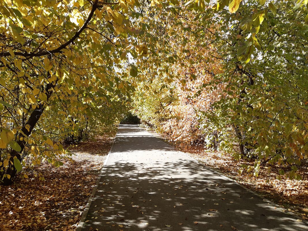 Осень в городе - Галина Минчук