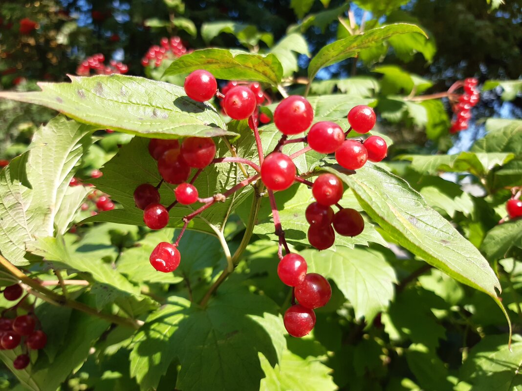 Осень в городе - Галина Минчук