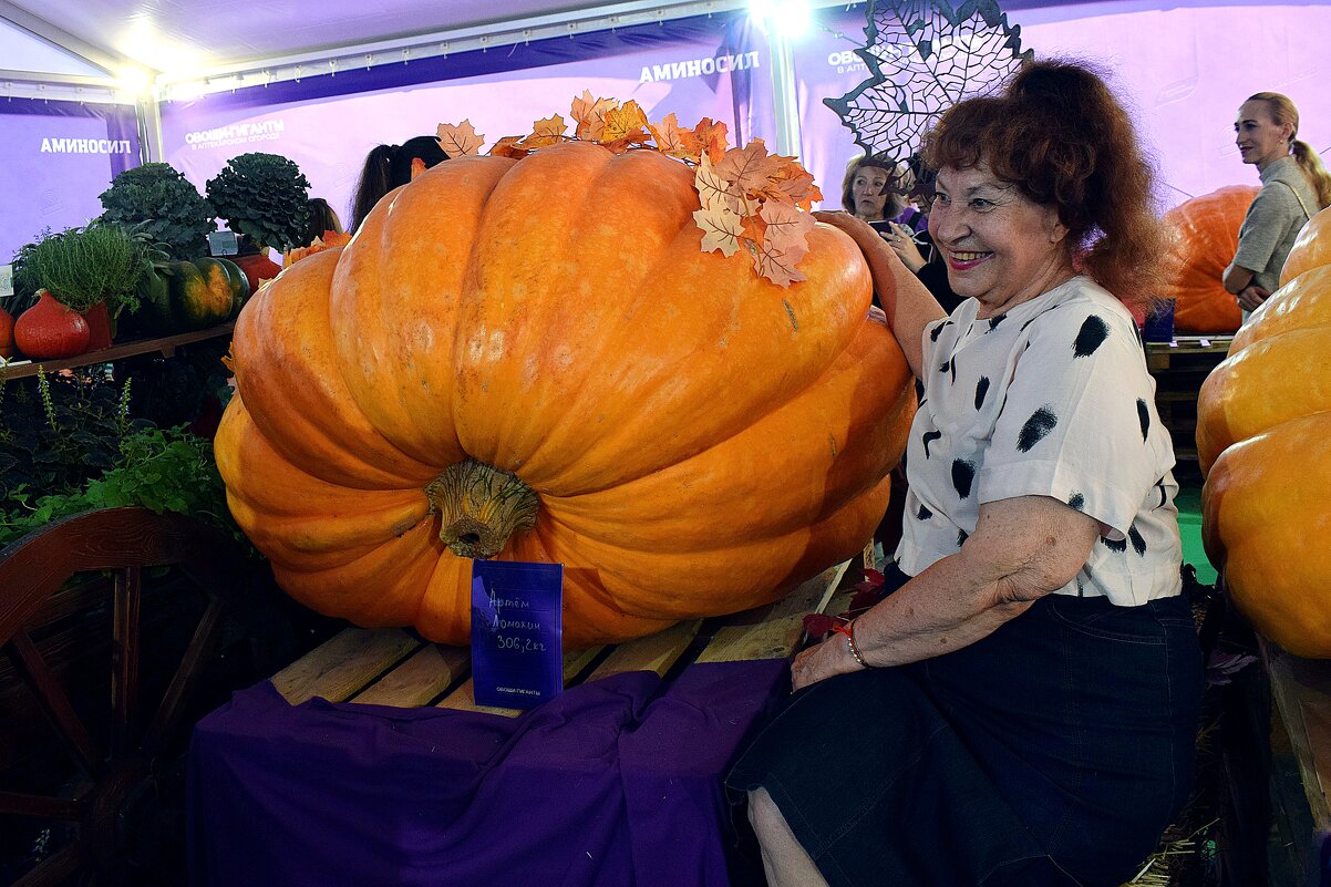 Оранжевое настроение. - Татьяна Помогалова Оранжевое настроение. - Татьяна Помогалова