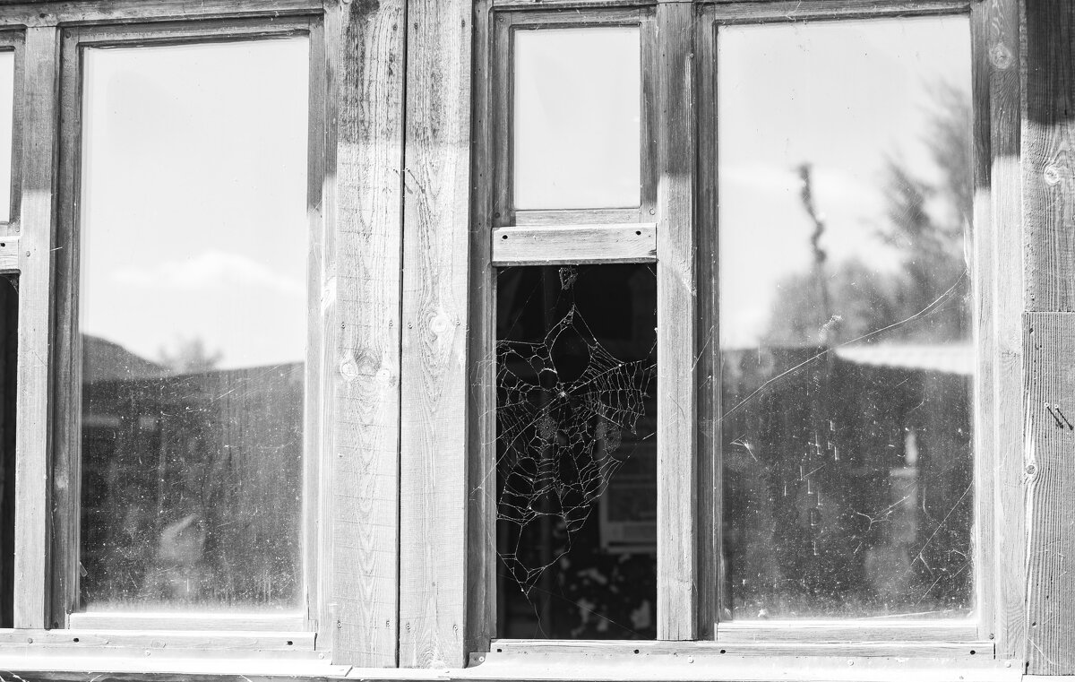 Окно с паутиной - Владимир Иванович