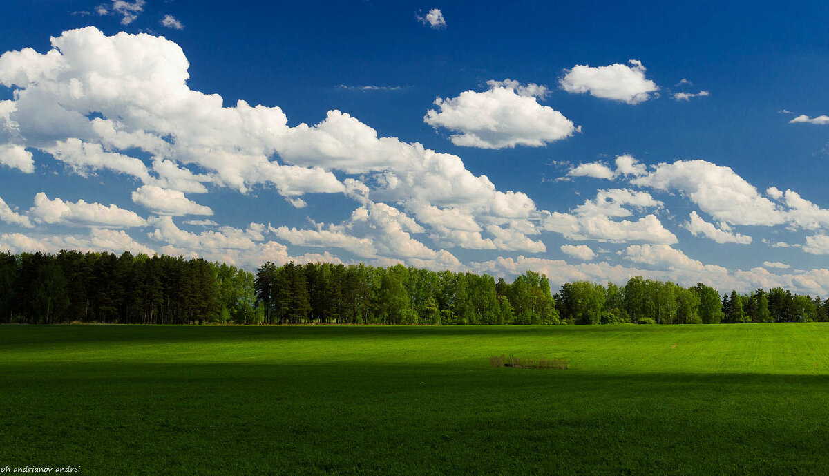 *** - Андрей Андрианов