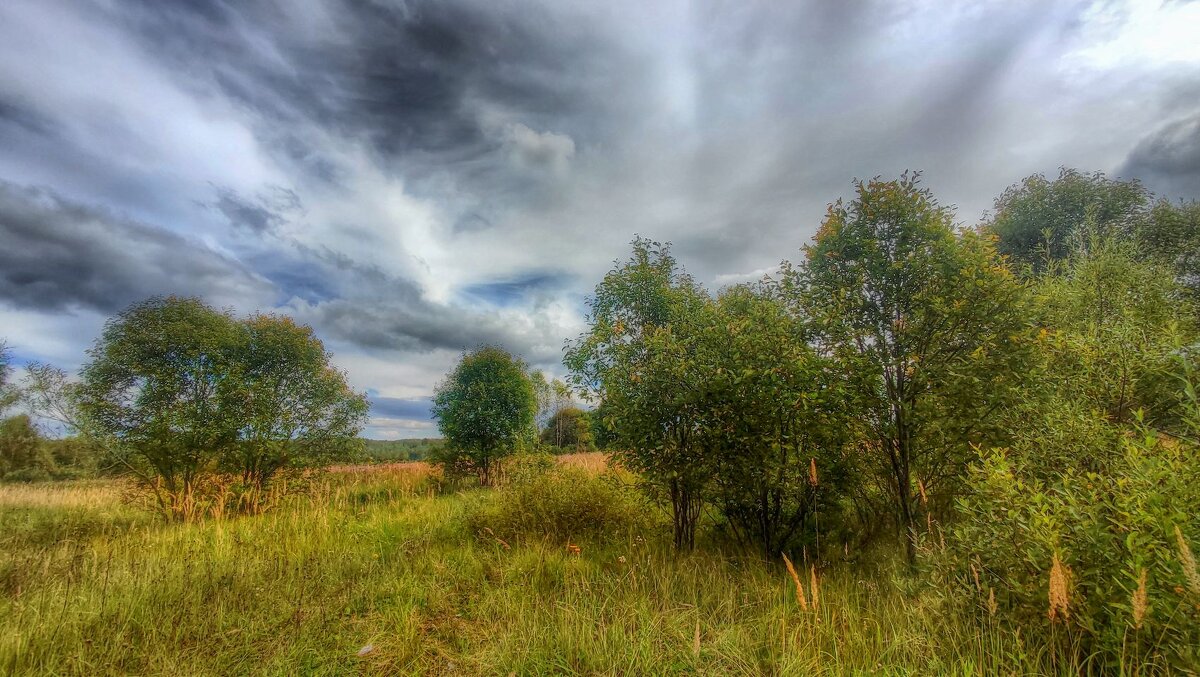 Начало сентября - Наталья Лакомова