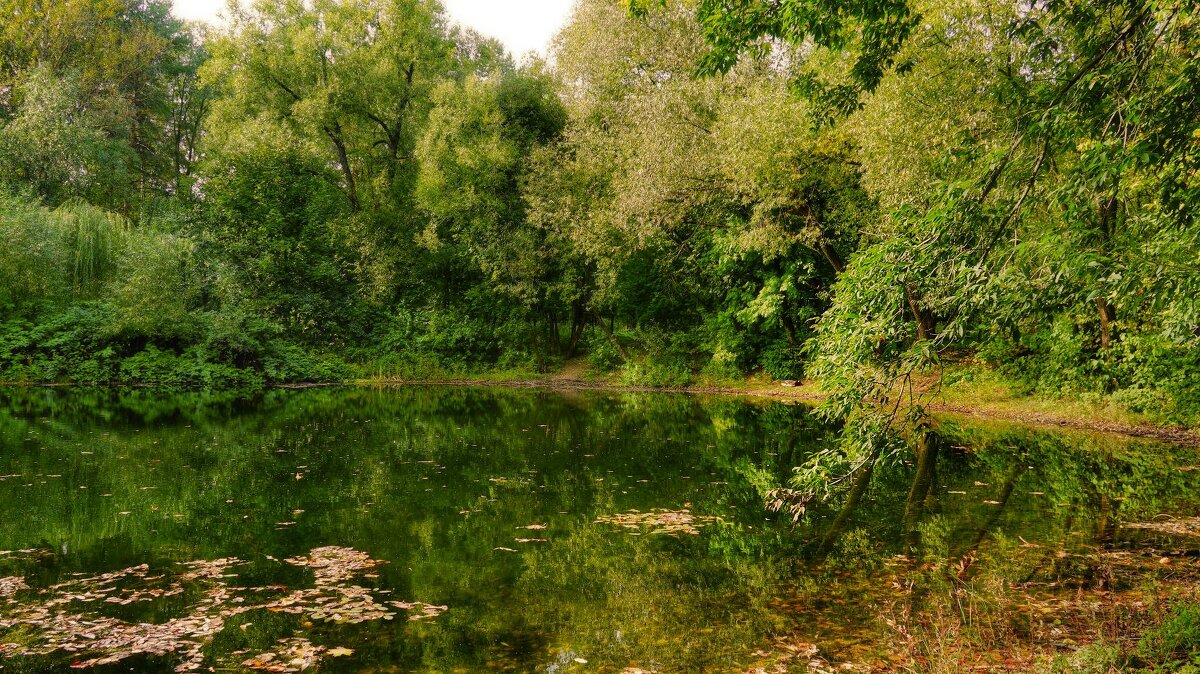 Радужный пруд - Наталья Лакомова