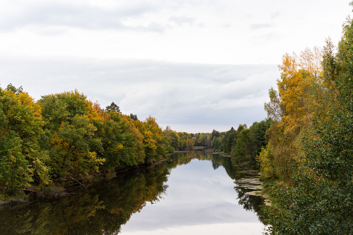 - - Андрей Молодов