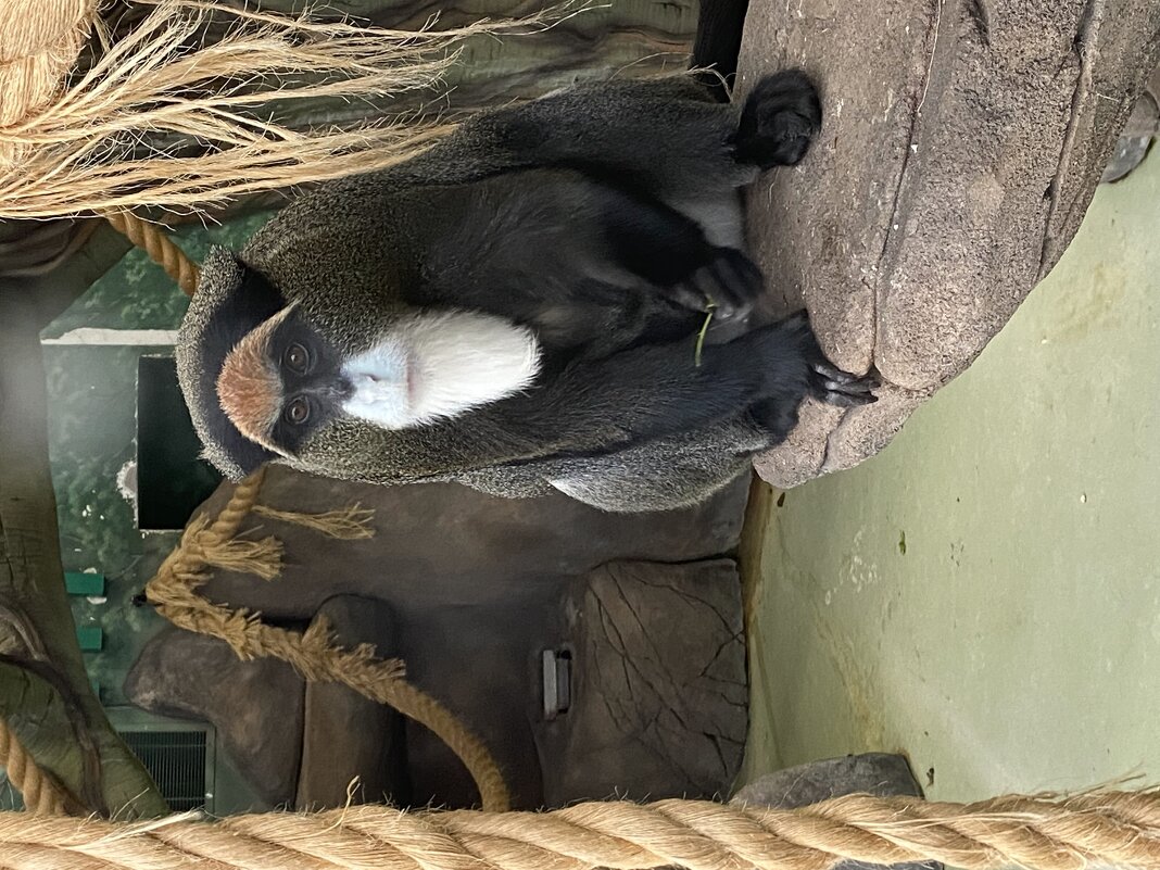 Казань. Зооботсад - Андрей 