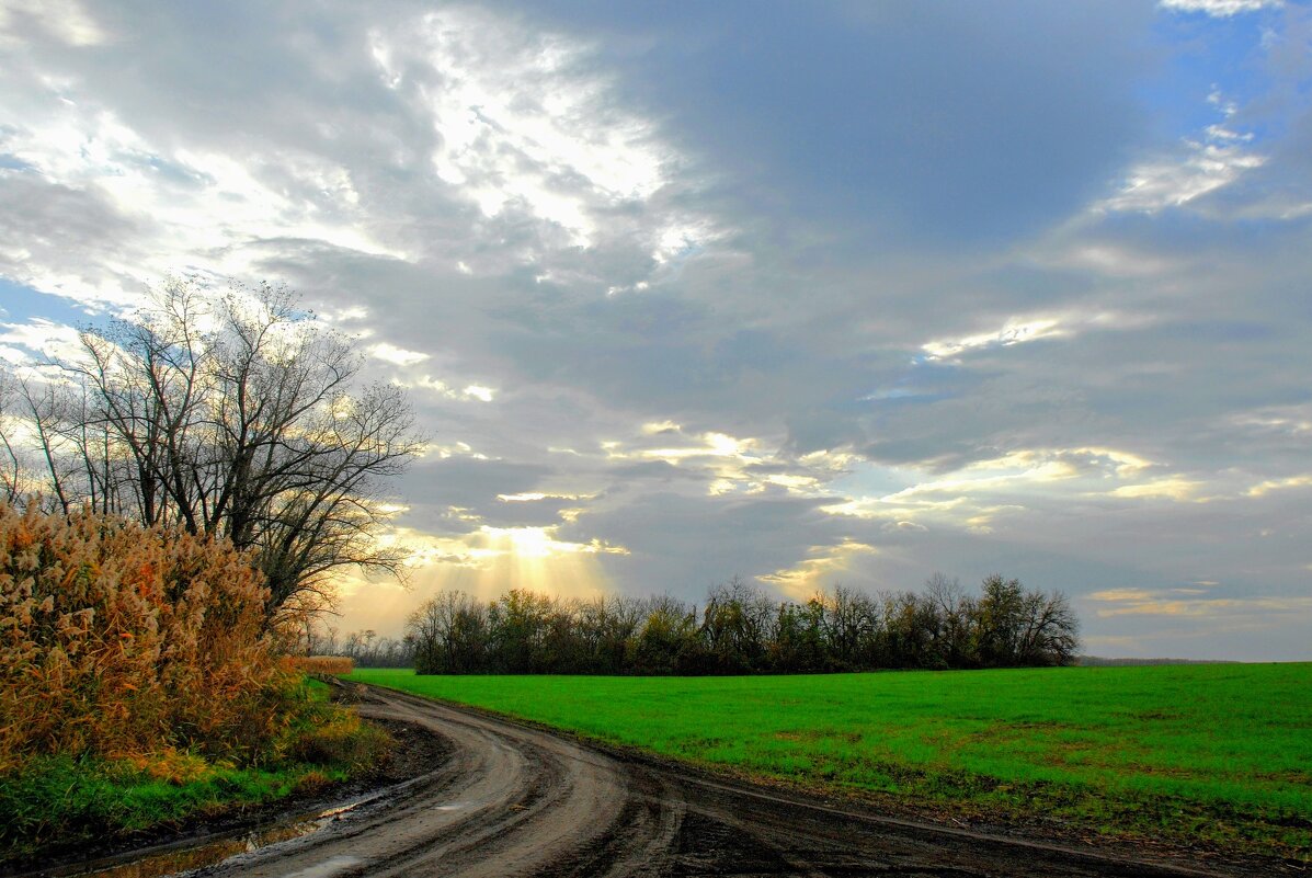 Весна. - Владимир 