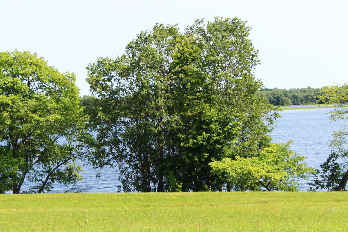 берег озера - Любовь ***