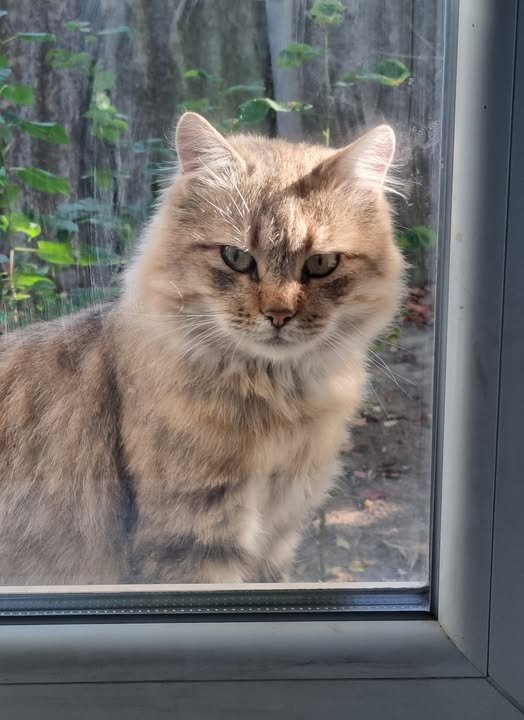 Доброе утро :) - Наталья 