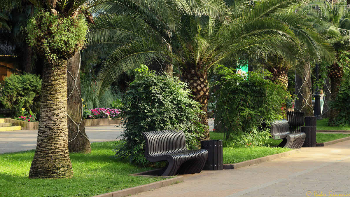 Лавочки - Pavel Blashkin