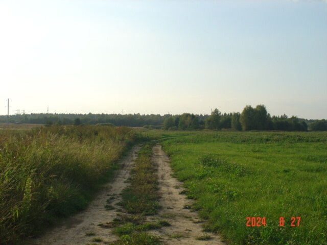 дорога - fogmeadowww m