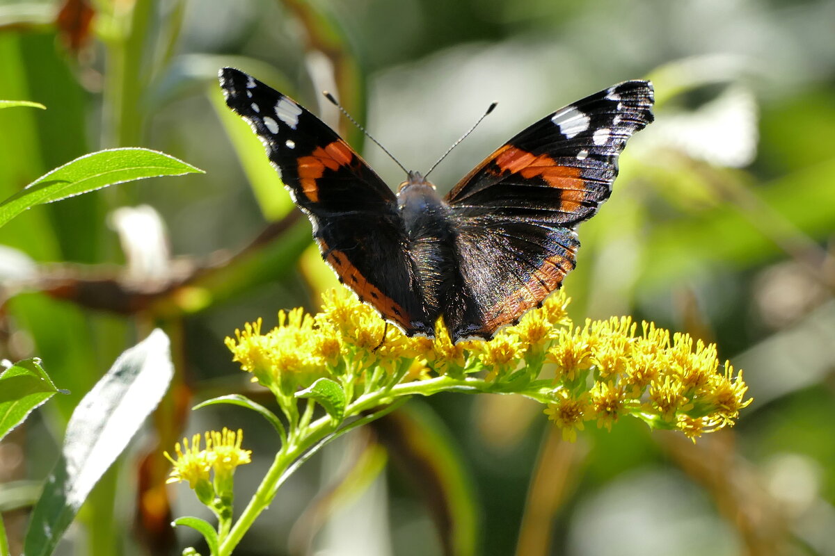 Из вчерашней съёмки 2 - Александр Прокудин