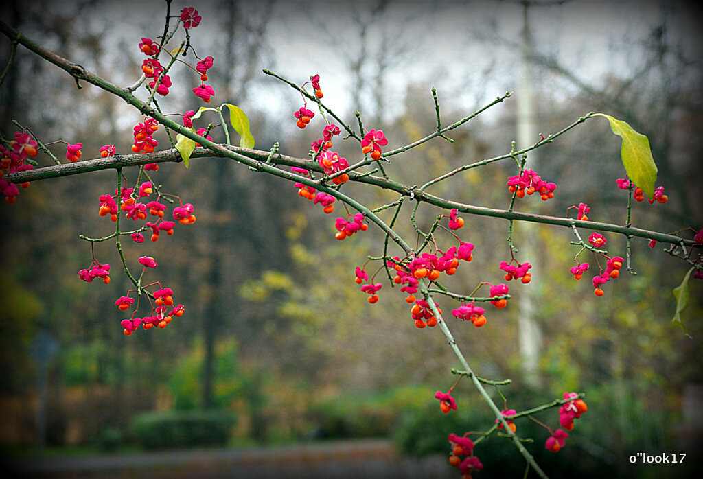 осеннее настроение - Олег Лукьянов