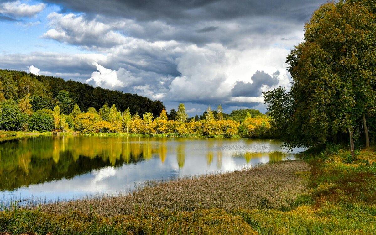 Сентябрь на Смоленщине. - Милешкин Владимир Алексеевич 