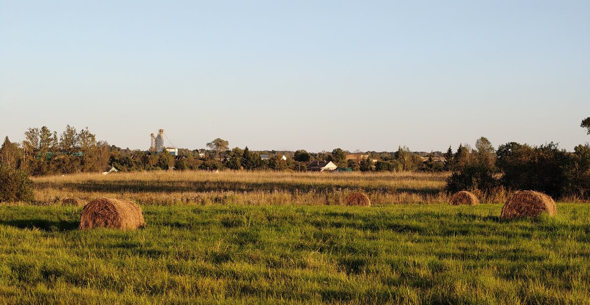 д.Выскодь - Артем 