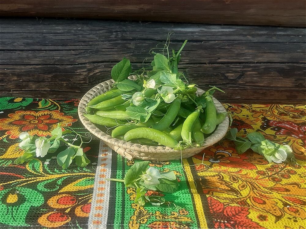 Натюрморт с зелёным горошком! - Нина Андронова