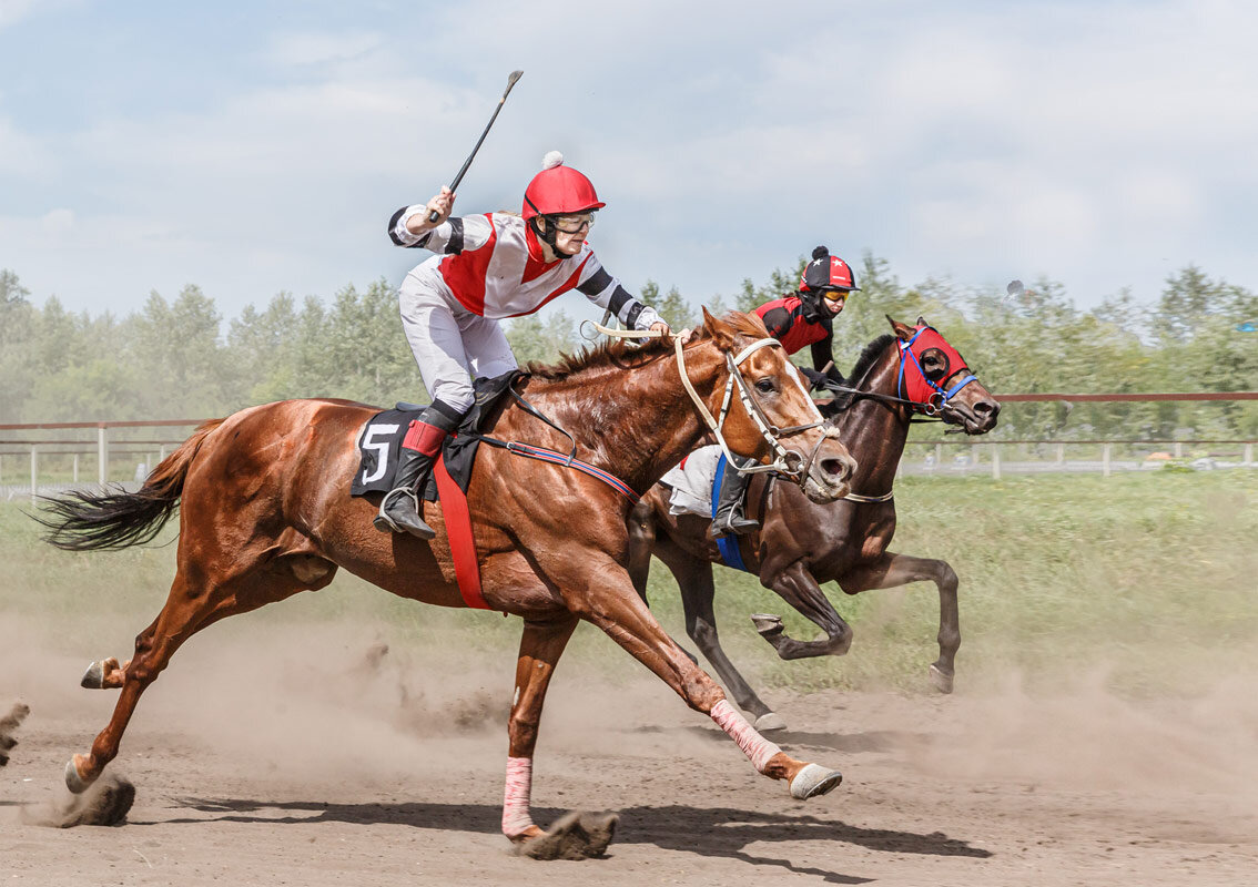 Скачки - SanSan 