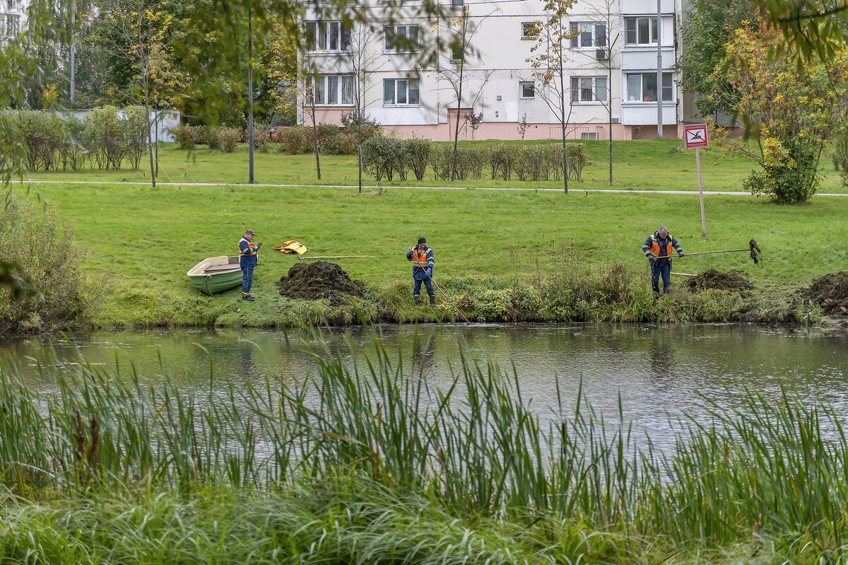 Вот откуда в магазинах "морская" капуста :) - Валерий Иванович