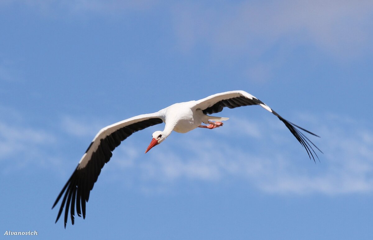 Захожу на боевой курс. - Андрей Андреев Андреев